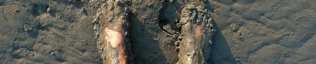 Image of feet covered in mud cc0