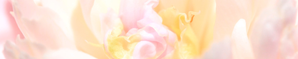 Image of soft pink flowers cc0