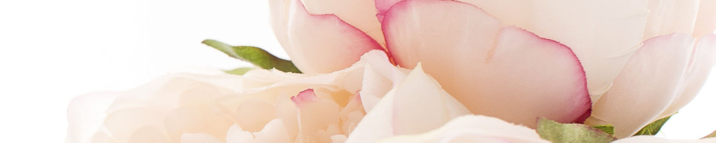 Image of pink Rose buds cc0