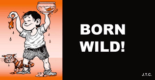 Image of Chick tract, Born Wild. Copyright Chick Publns Inc. Used by permission