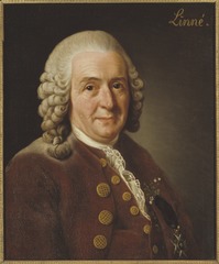 Image of Carl Linnaeus by Alexander Roslin, Public domain, via Wikimedia Commons