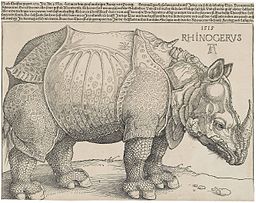 Image of Durer's Rhinoceros of 1515