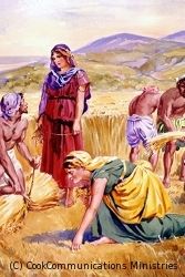 Image of Ruth gleaning. Copyright: Cook Communications Ministries. Used by permission