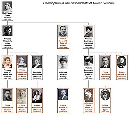 Image of Queen Victoria family tree concerning haemophilia Photo: CC Wikipedia / Shakko