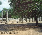 Image of the ruins at Olympia. Coyright Alun Salt. Used by permission creativecommons.org/licenses/by-sa/2.0